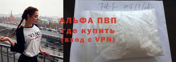 стаф Козельск