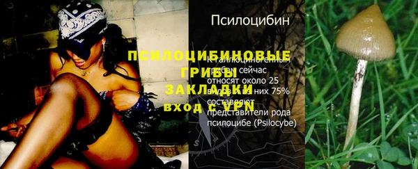 стаф Козельск