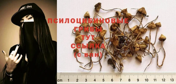 spice Козловка