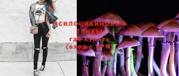 ECSTASY Кинешма