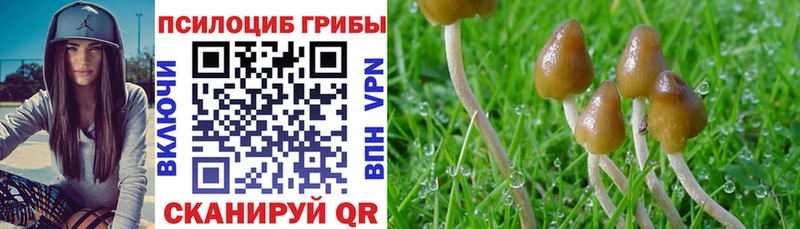Псилоцибиновые грибы Magic Shrooms  Купить  Горнозаводск 